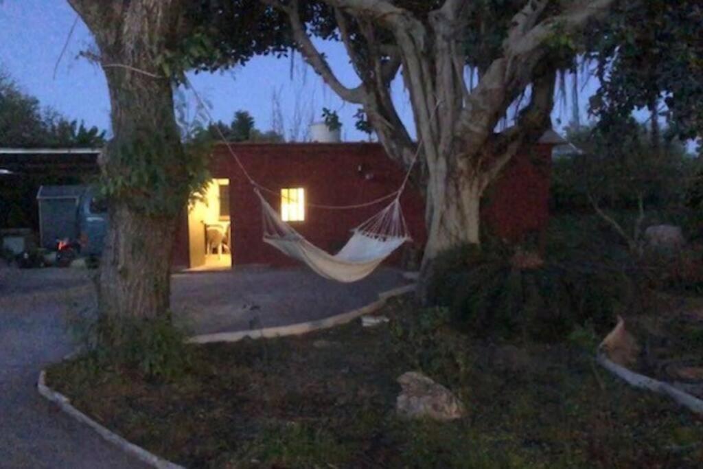 Orange Blossom Finca Unique バレンシア エクステリア 写真