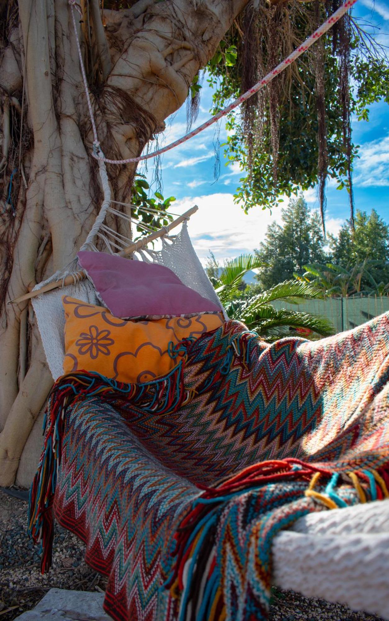 Orange Blossom Finca Unique バレンシア エクステリア 写真
