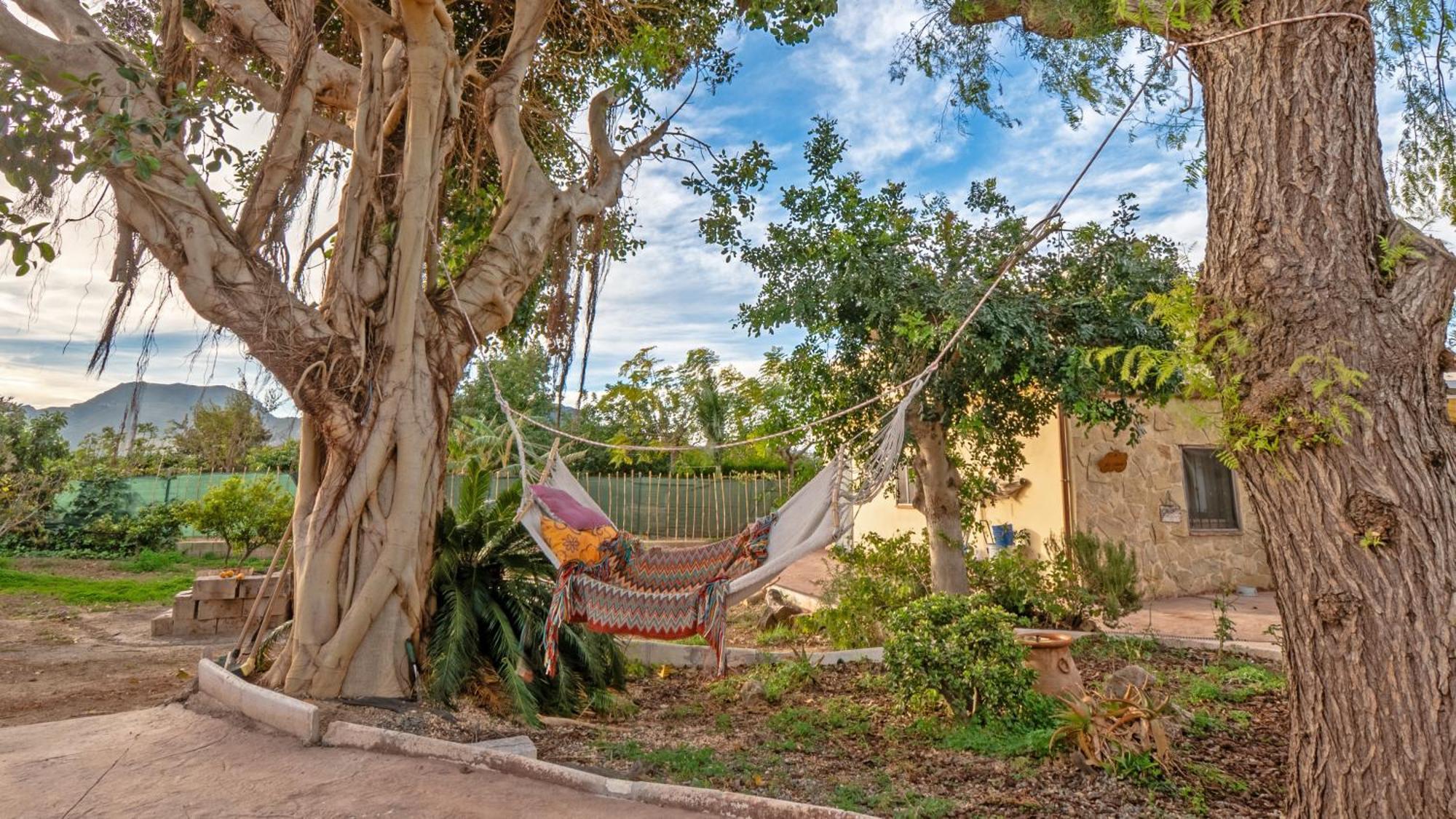 Orange Blossom Finca Unique バレンシア エクステリア 写真