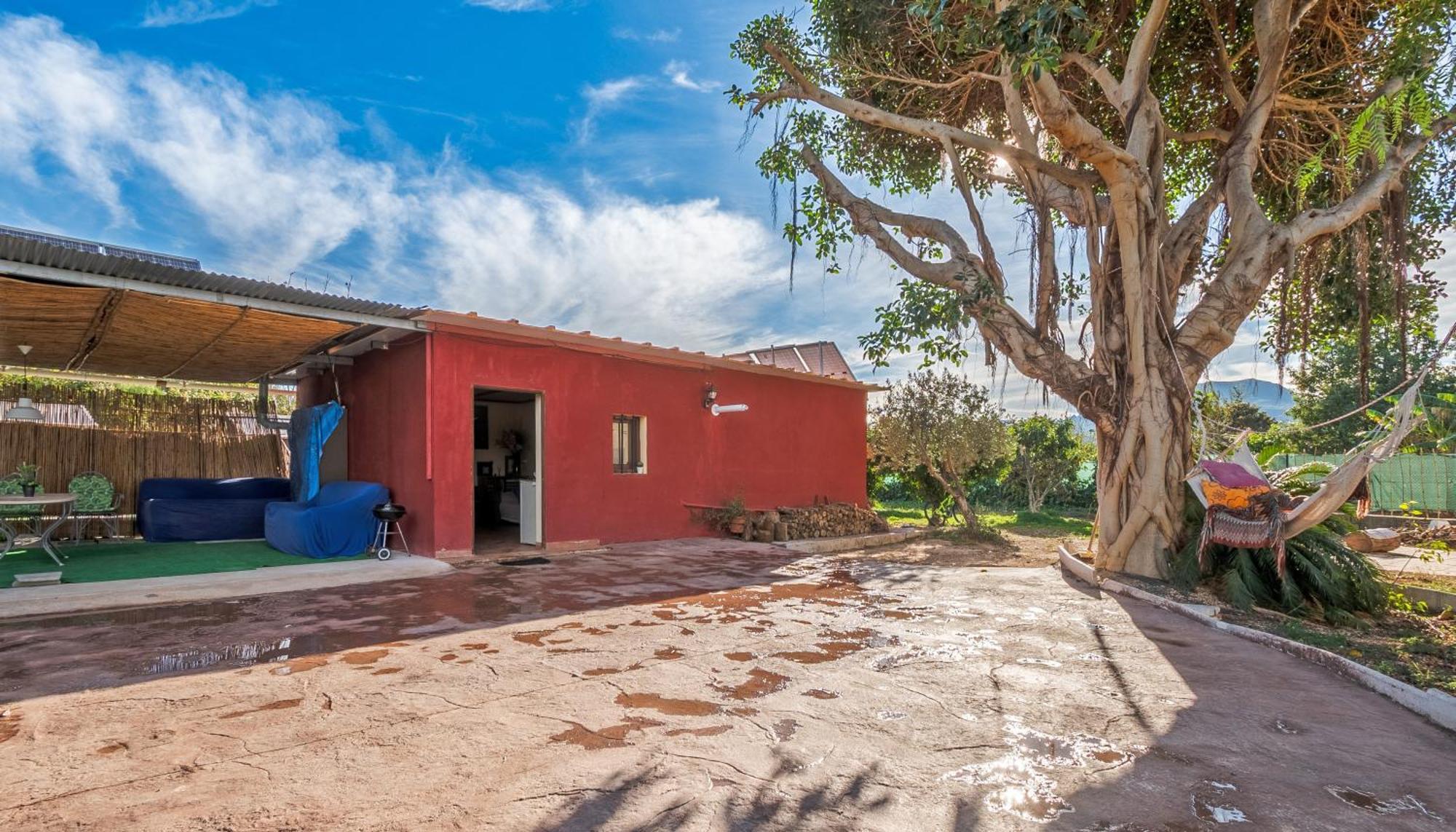 Orange Blossom Finca Unique バレンシア エクステリア 写真