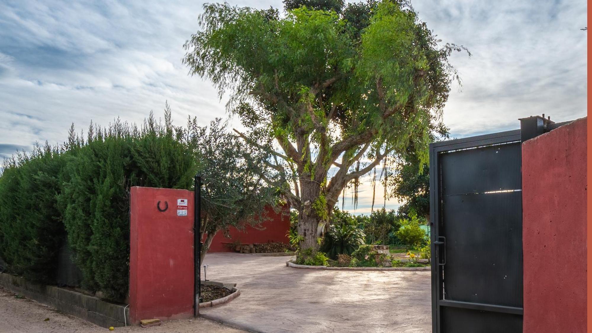 Orange Blossom Finca Unique バレンシア エクステリア 写真